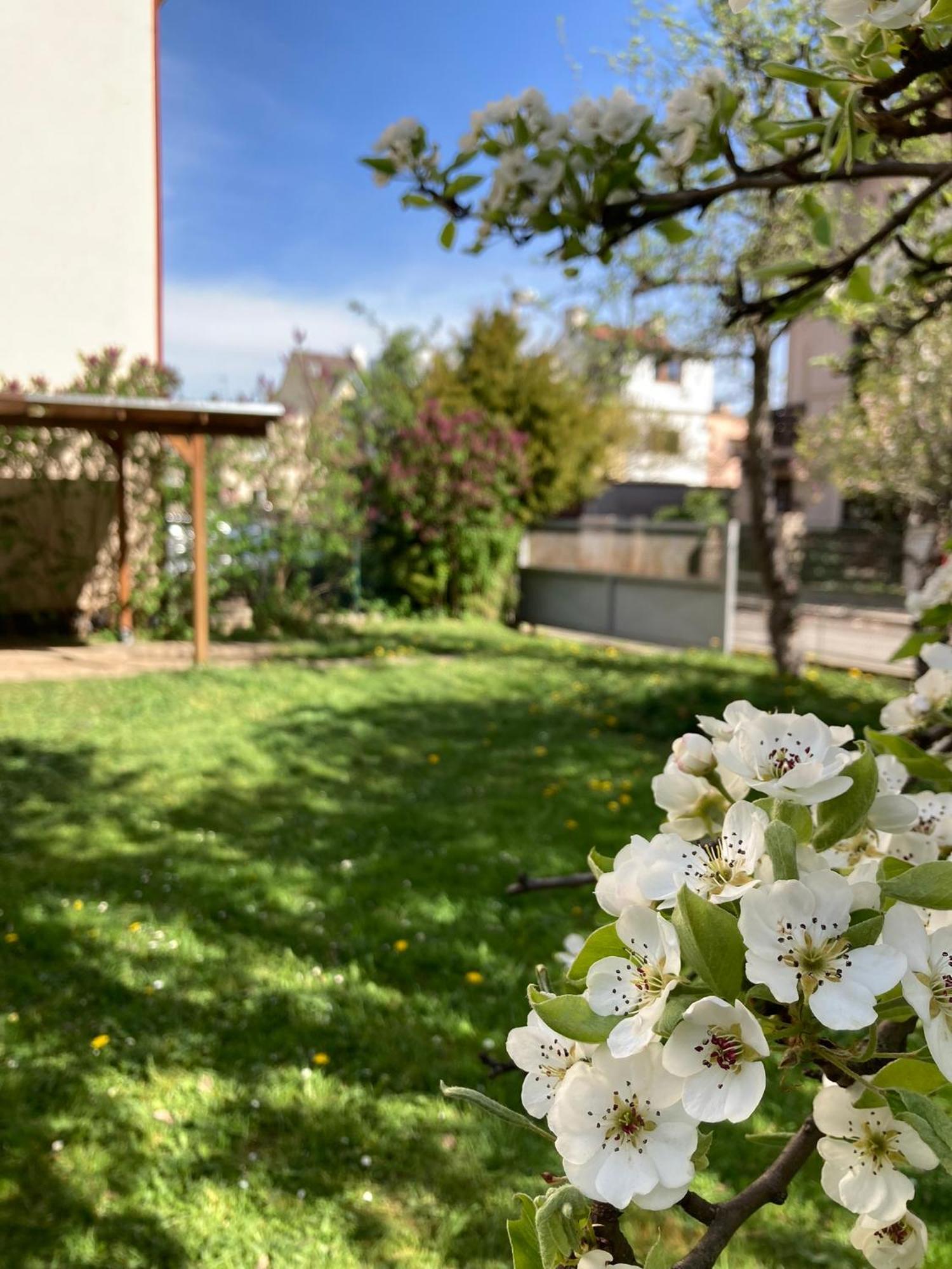 Podkrovní byt - Na Slovance Praga Exterior foto